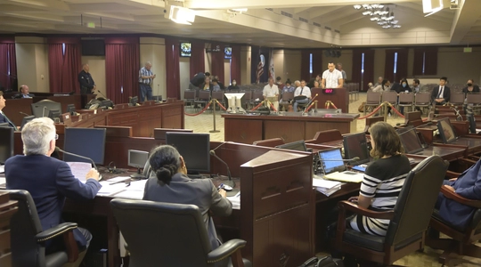 Ad Hoc Committee on City Governance Reform meets at Van Nus City Hall.