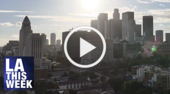 Thumbnail for YouTube Video "LA City Council Approves Independent Redistricting Proposal"