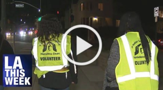 The 2024 Greater Los Angeles Homeless Count