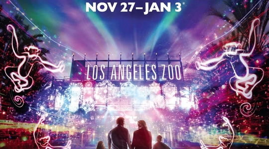 LAZL_2015_Flyer.jpg