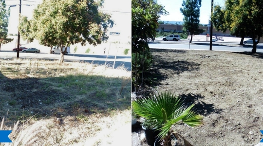 Sunvalley_clean_up_10.13.15.jpg