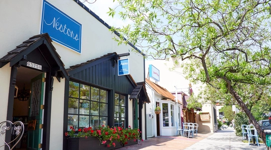 A row of attractive storefronts on a treelined street