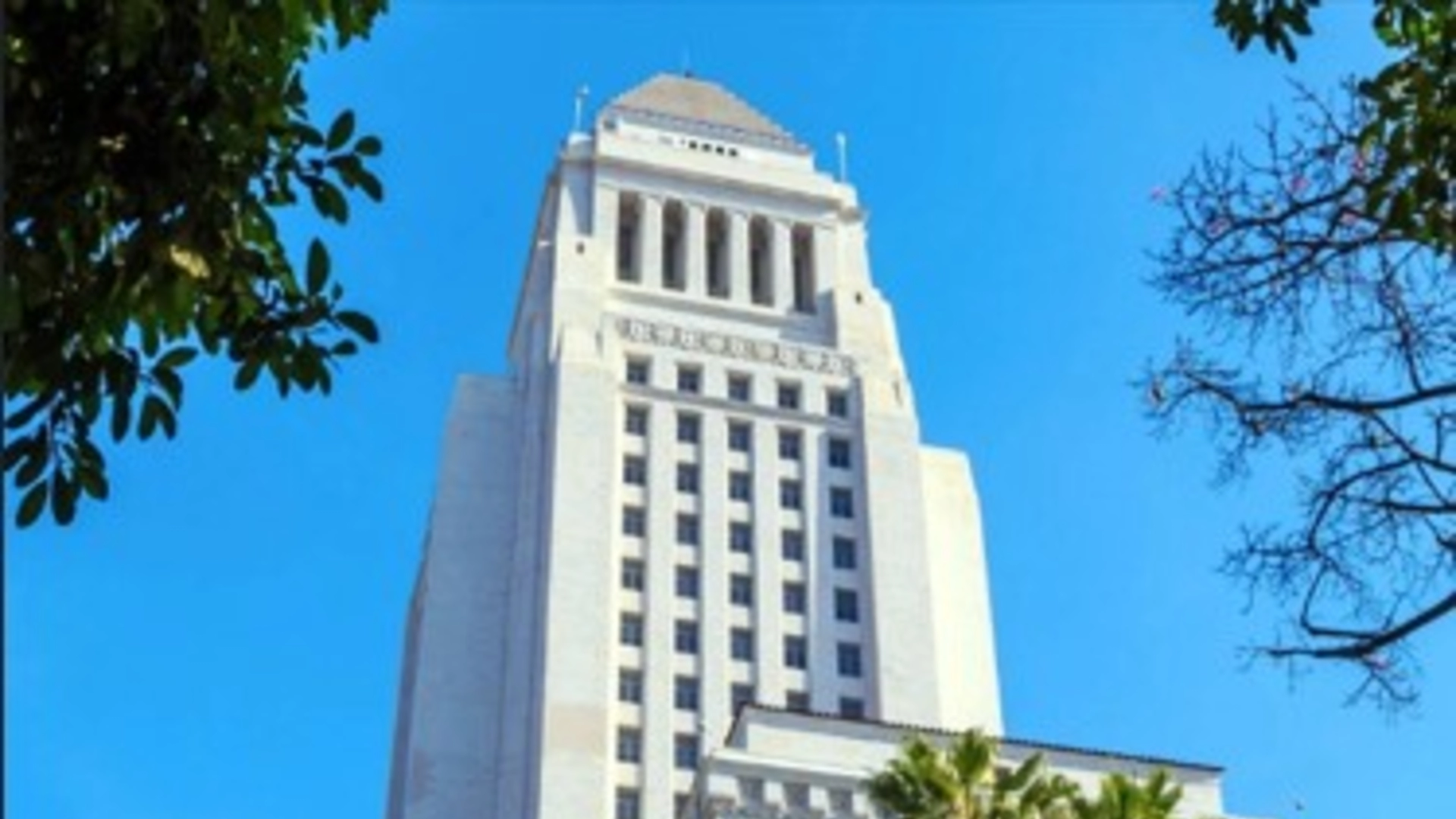 Low angle view of City Hall framed by trees