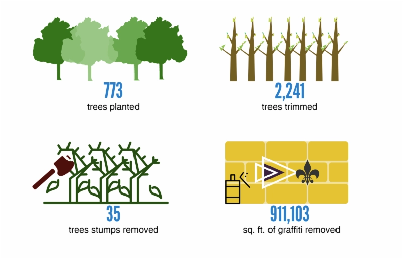 collage showing stats on trees