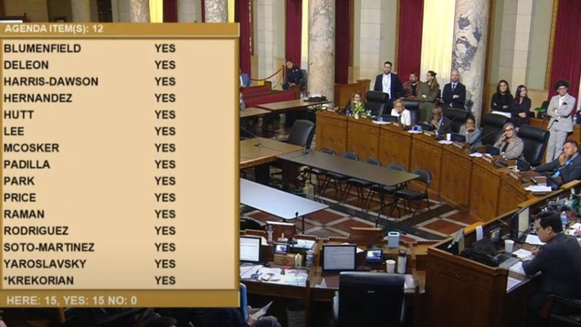 All 15 Councilmembers voting "YES" on the Ethics commission reform.