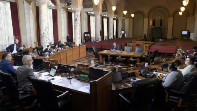 June 14 meeting of the Ad Hoc Committee on City Governance Reform. The Committee produced the Charter Reform Commission ordinance and the Charter amendment on Ethics Commission reform approved by the Council Council this week.