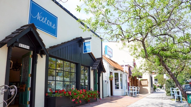 A row of attractive storefronts on a treelined street